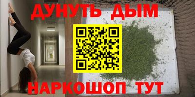 мяу мяу мука Гусиноозёрск