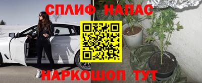ГАЛЛЮЦИНОГЕННЫЕ ГРИБЫ Гусь-Хрустальный